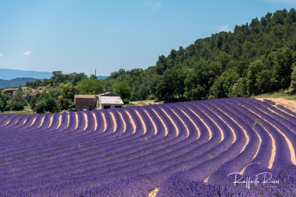 Plateau de Valensole
